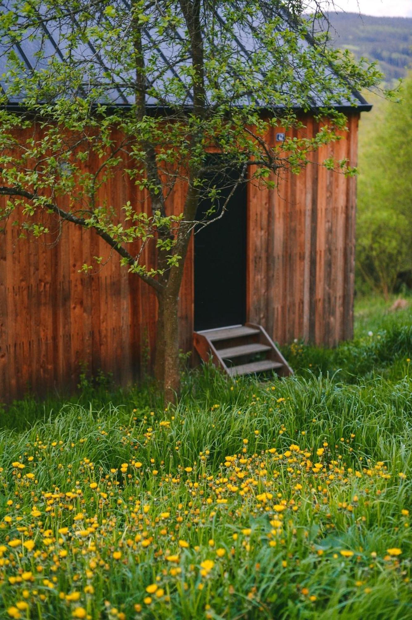 Tri Domky - Tiny Houses Depoltice 外观 照片